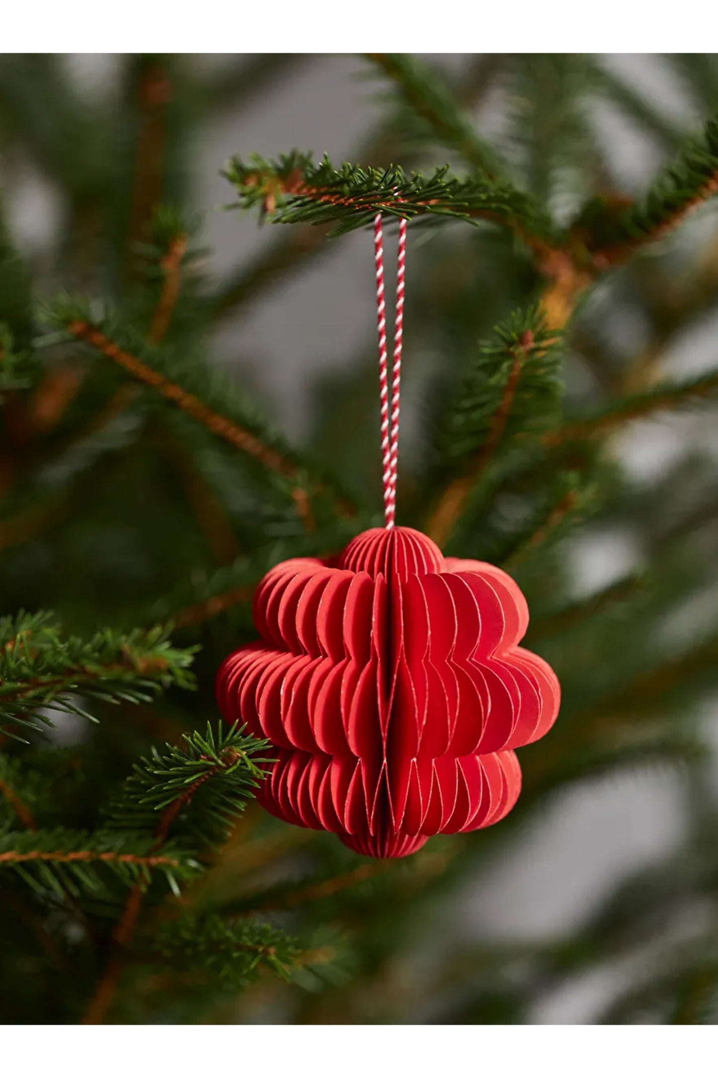 Honeycomb Ornaments Set of 2