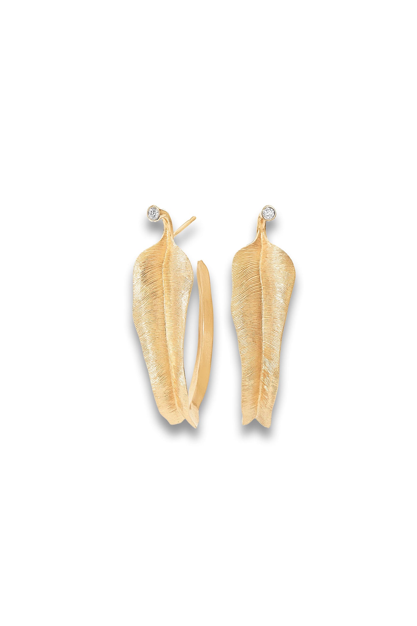 Leaves Creol Earrings Large
