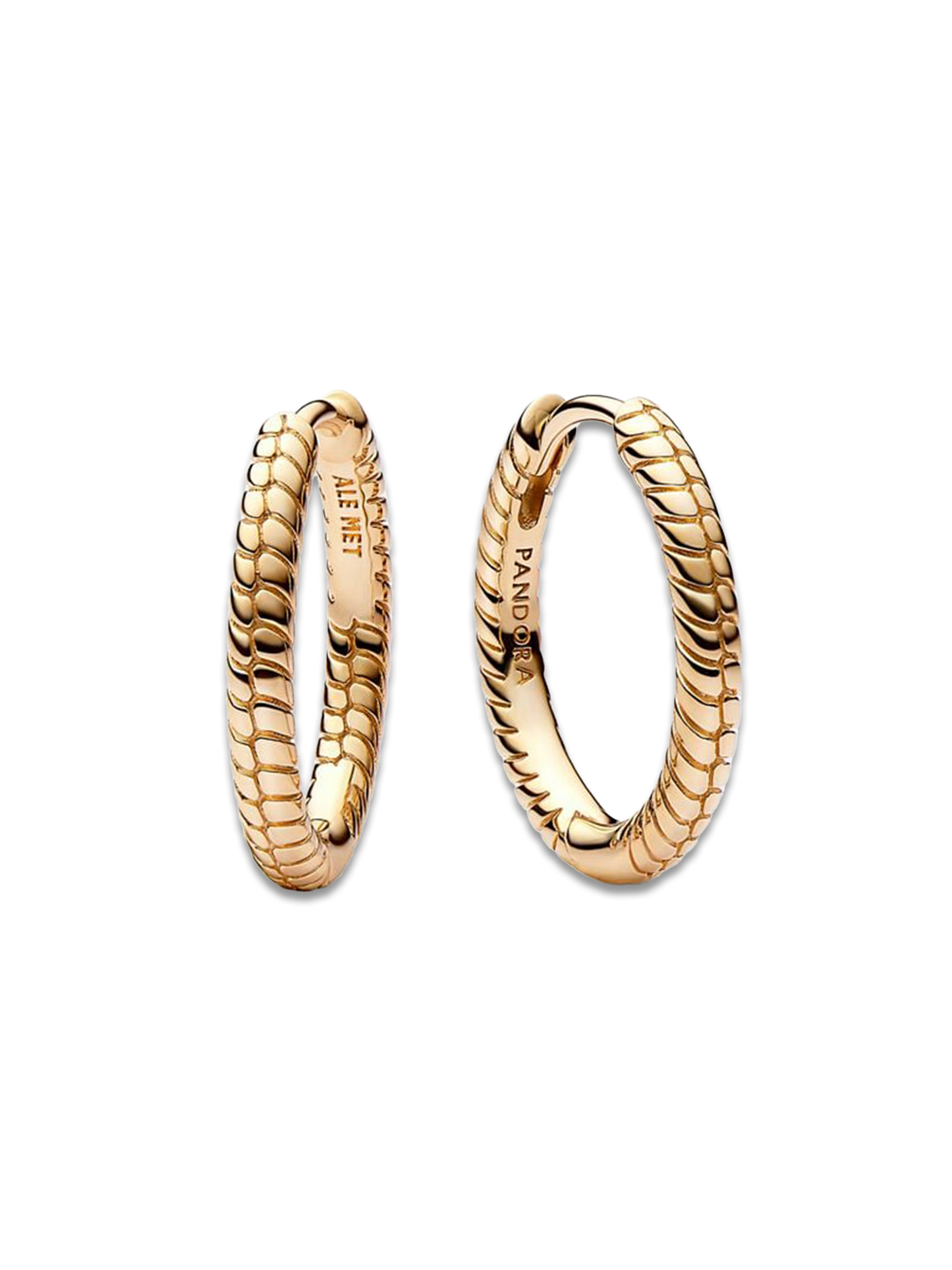 Small Charm Hoop Earrings