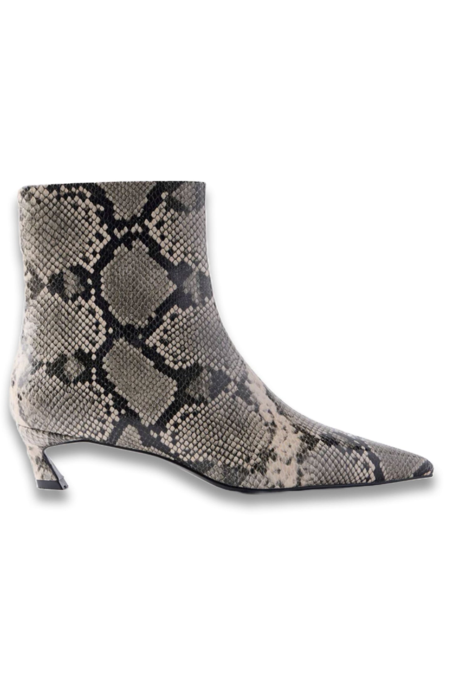 Issy Snake Print Leather Ankle Boot