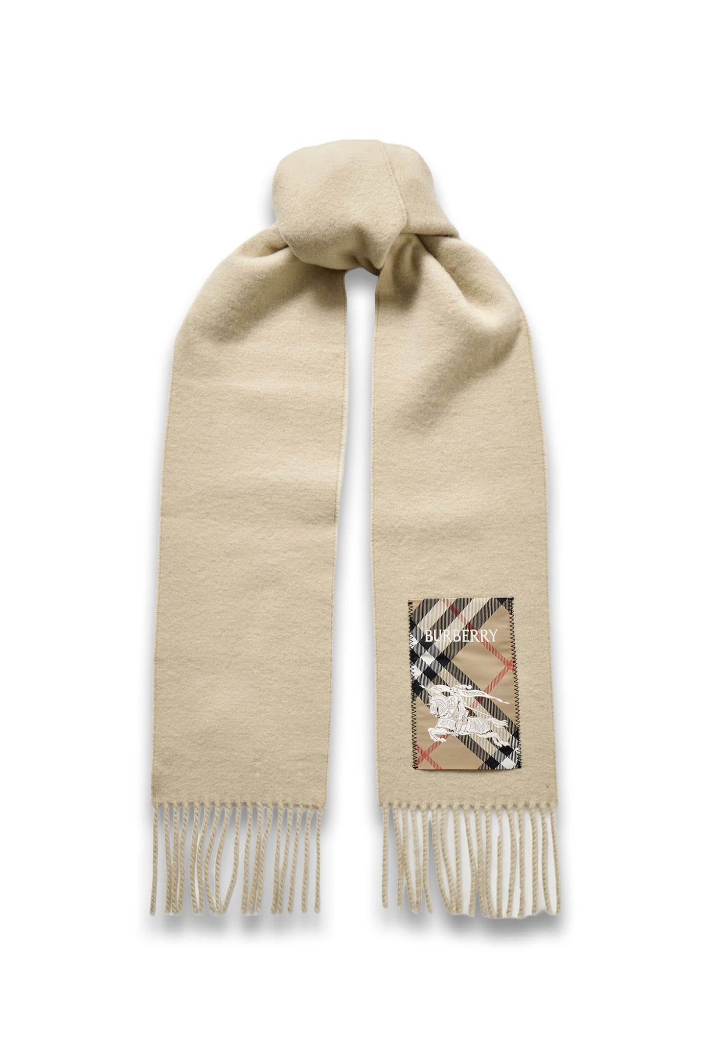 Fringed Appliquéd Cashmere Scarf