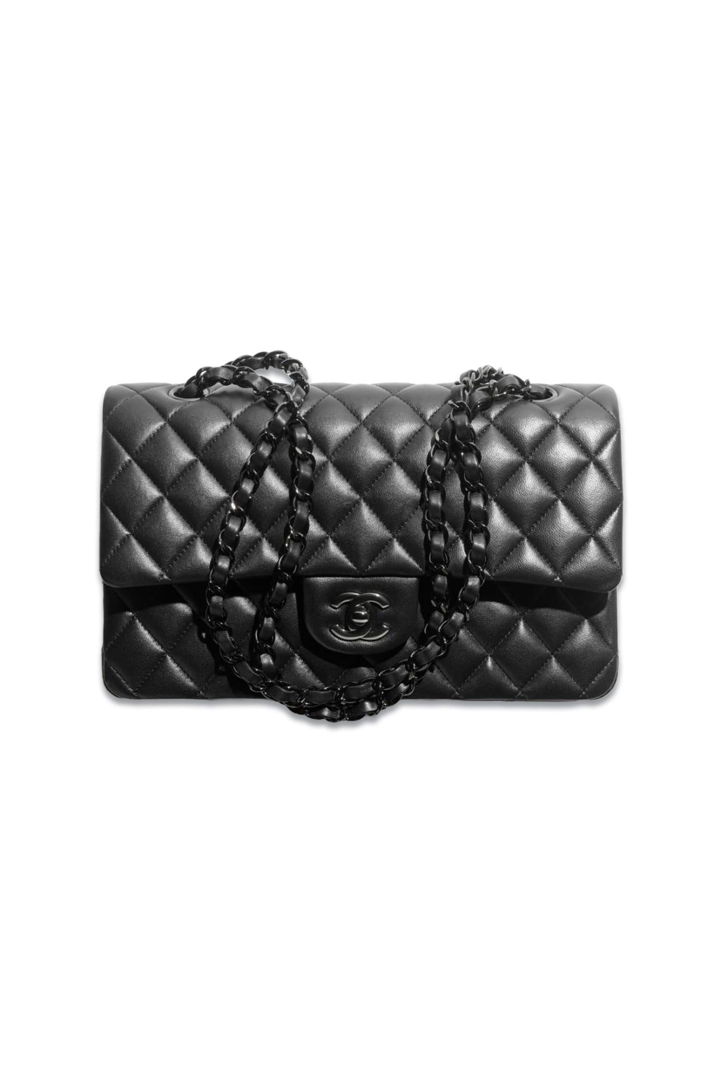 The Iconic Handbag