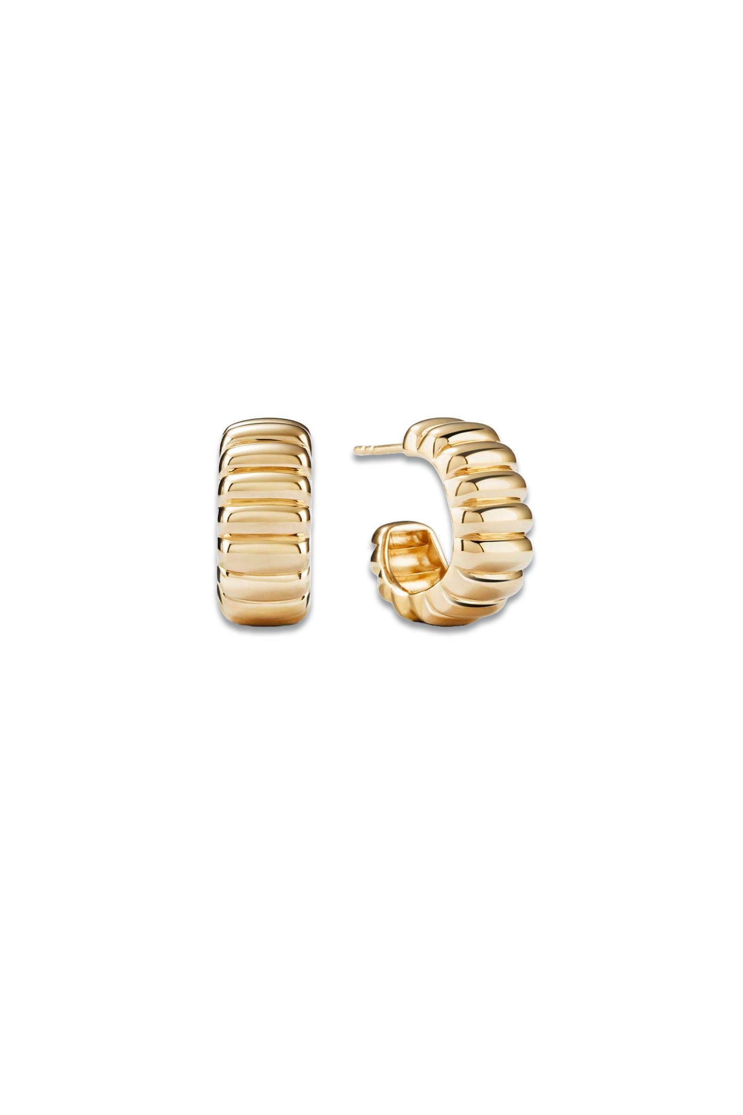 Charlotte Bold Hoops