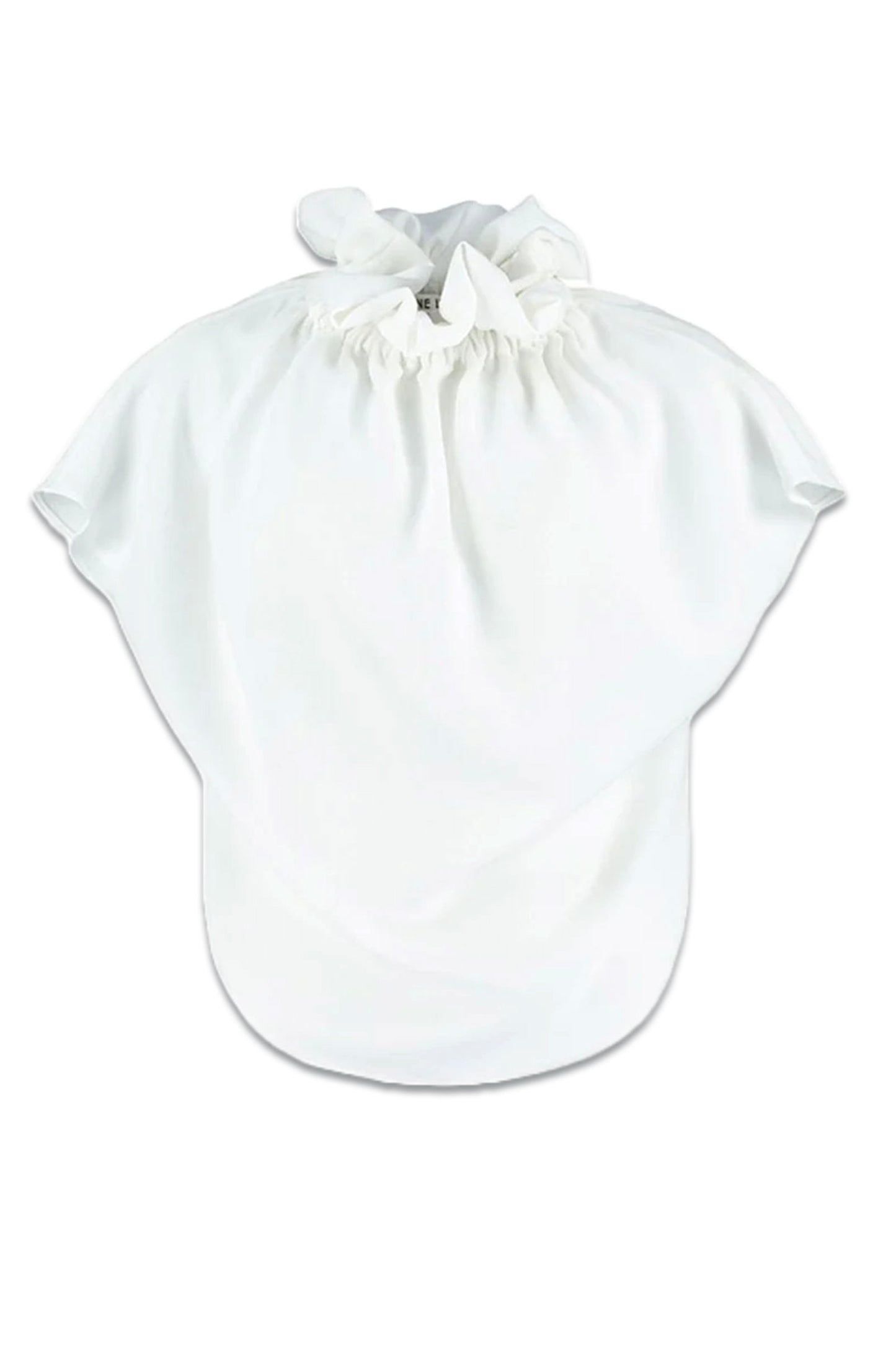 Ruff Blouse