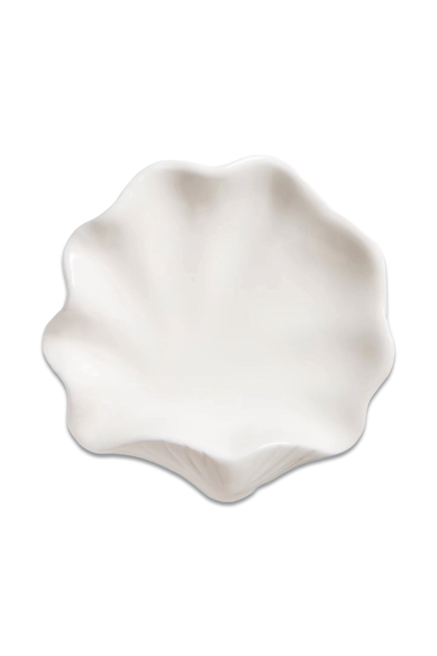 Seashell Soap Dish, White