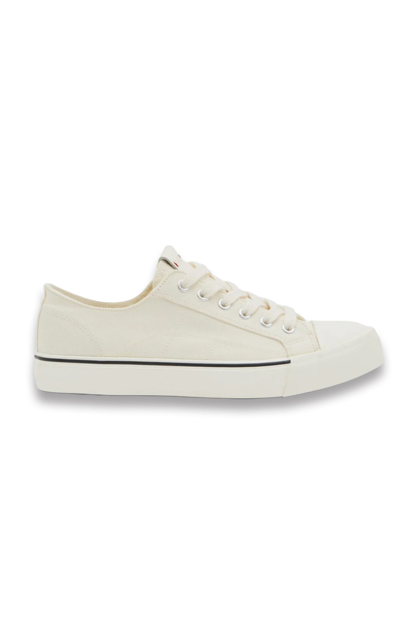 Finley Canvas Trainers