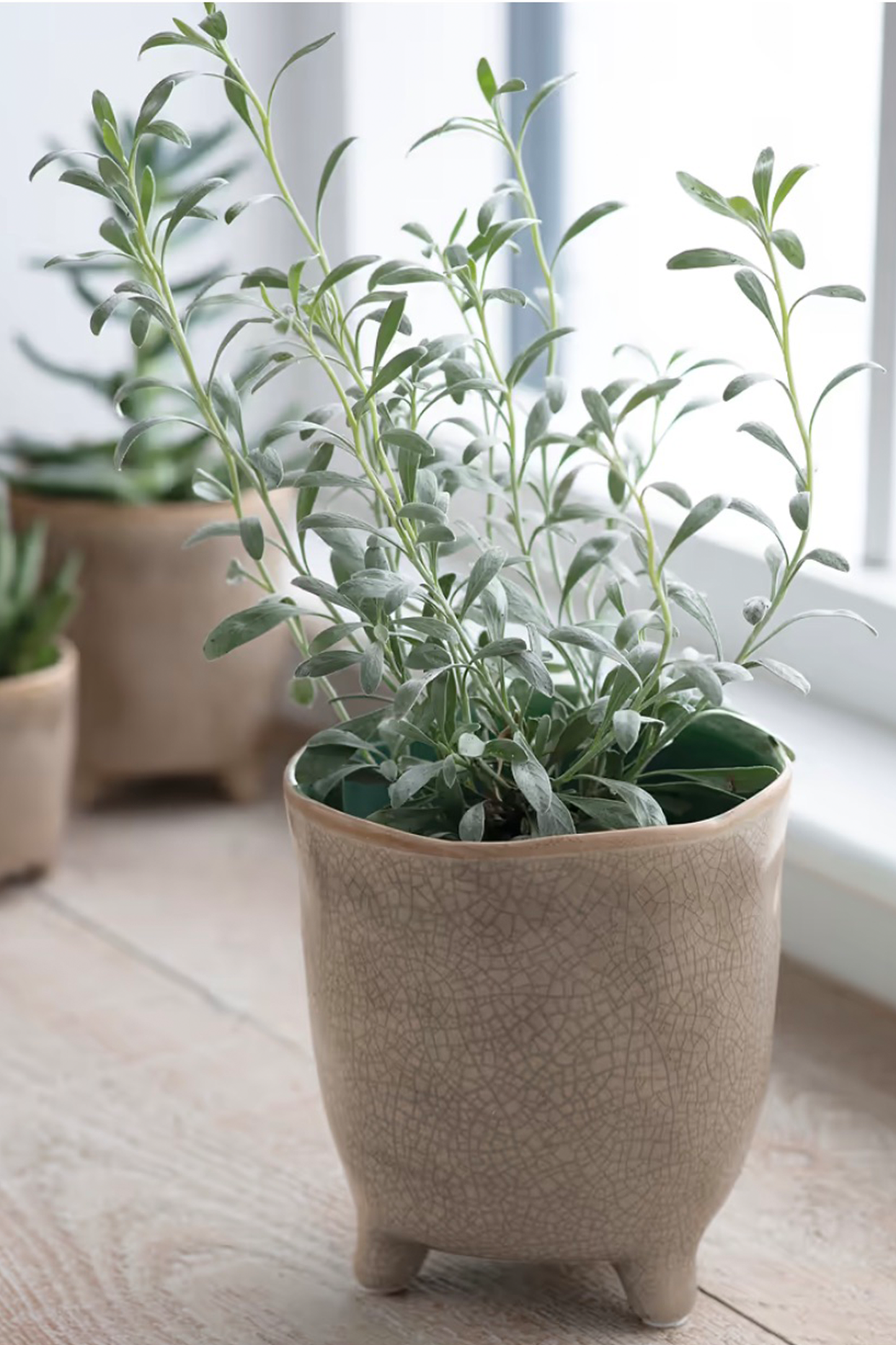 POSITANO POT