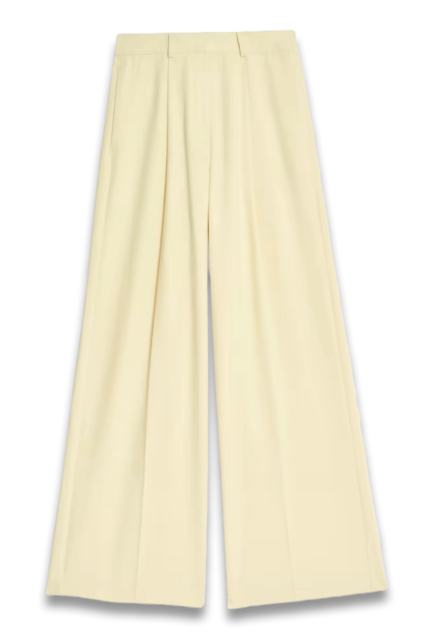 Woven Pleat Front Wide Leg Trousers