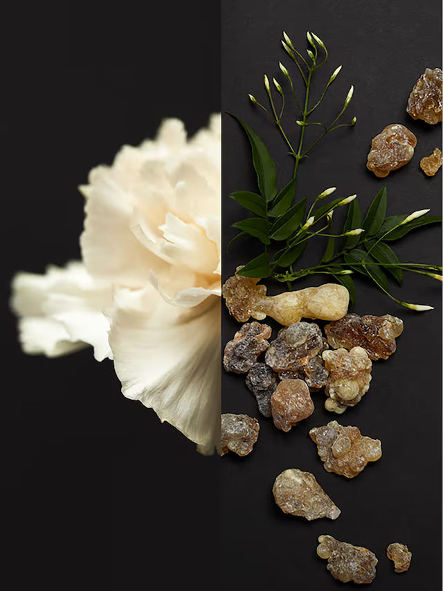 Oud 71 Eau De Parfum