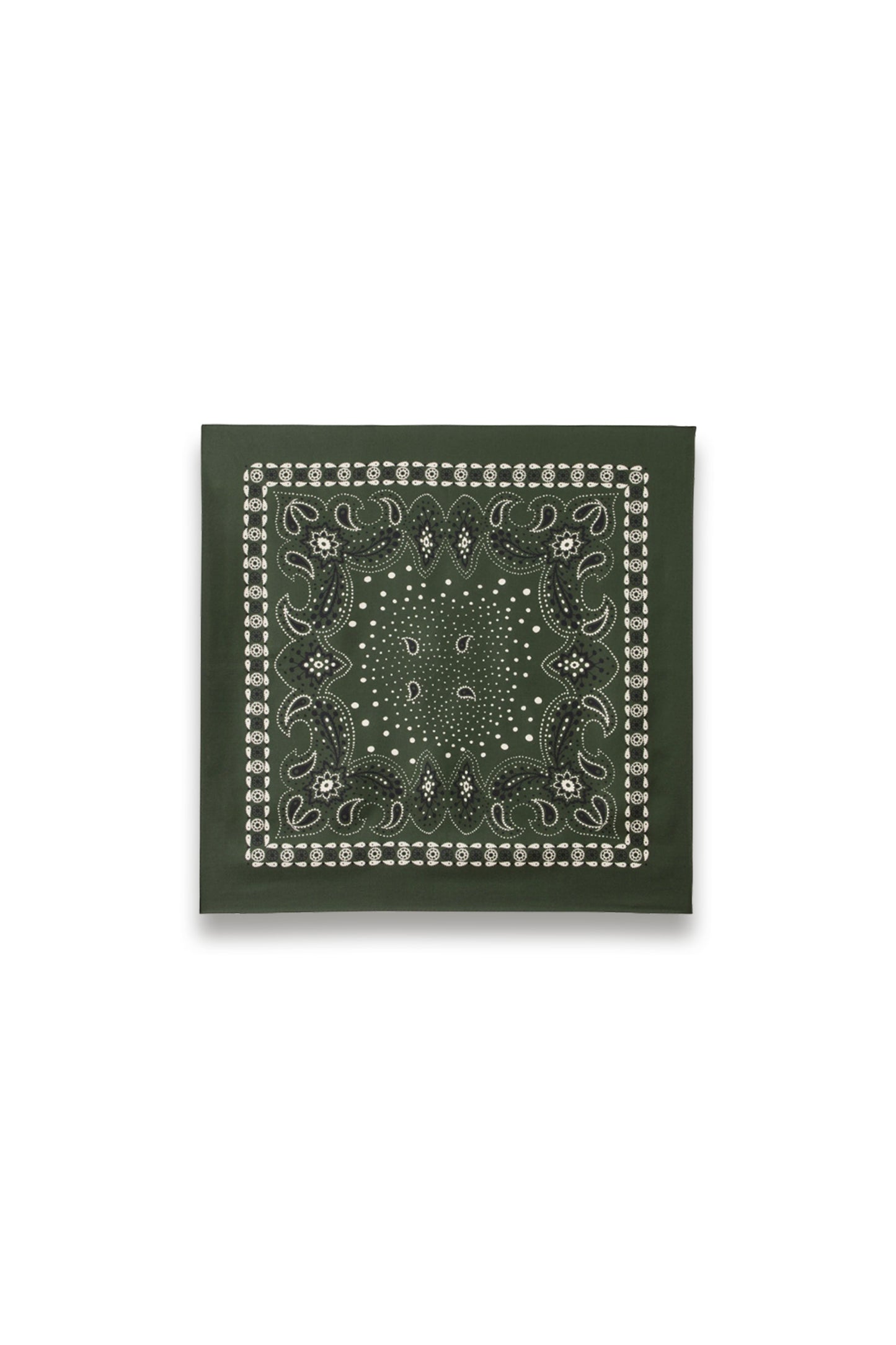 Silk Bandana Print Scarf