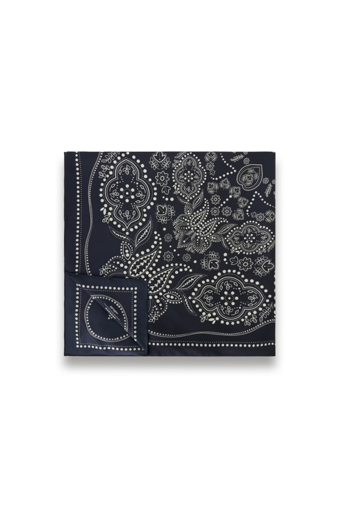 Onesto Paisley Pure Silk Scaf