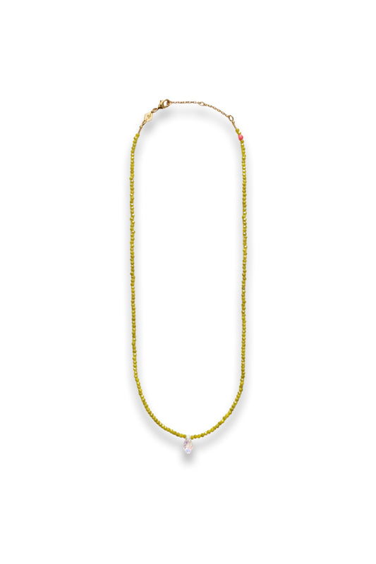 Cactus Ncklc Ld61
