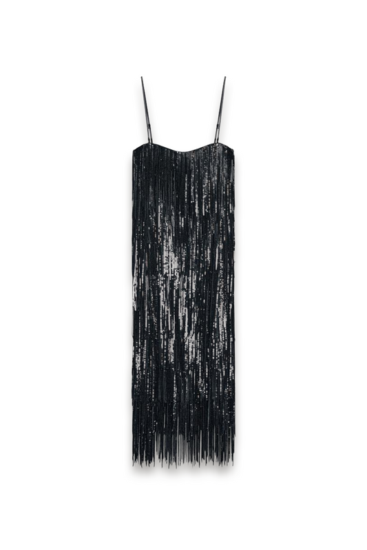 Sequinned Fringed Dress