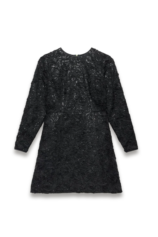 Black Sequin Applique Mini Dress