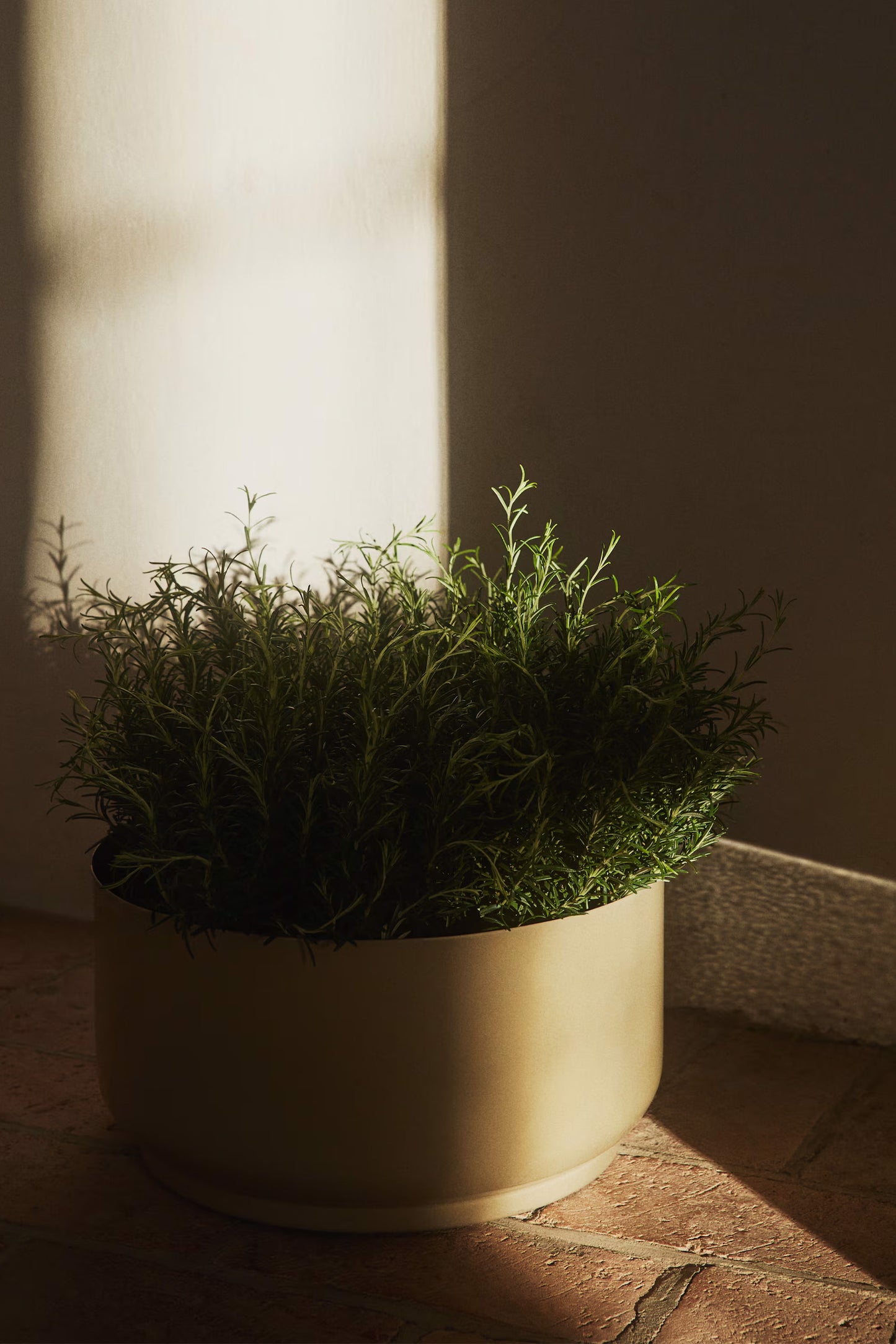 Wide Metal Plant Pot