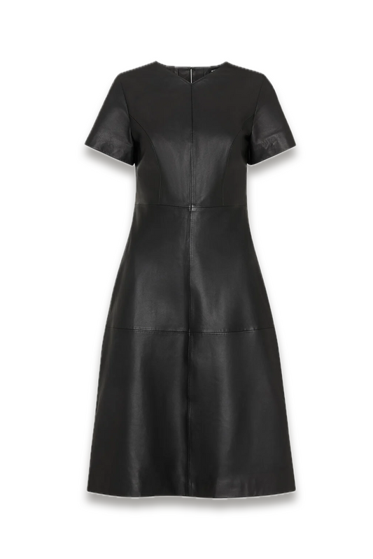 Rosamund A-Line Leather Dress