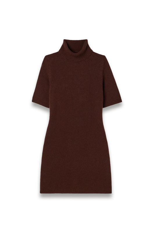 Agathe Cashmere turtleneck Mini Dress