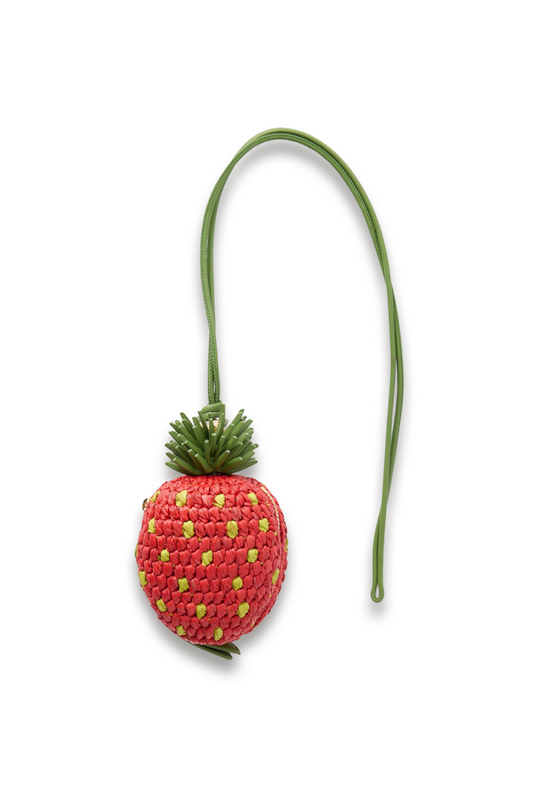 + Paula's Ibiza Strawberry Leather-trimmed Raffia Pouch