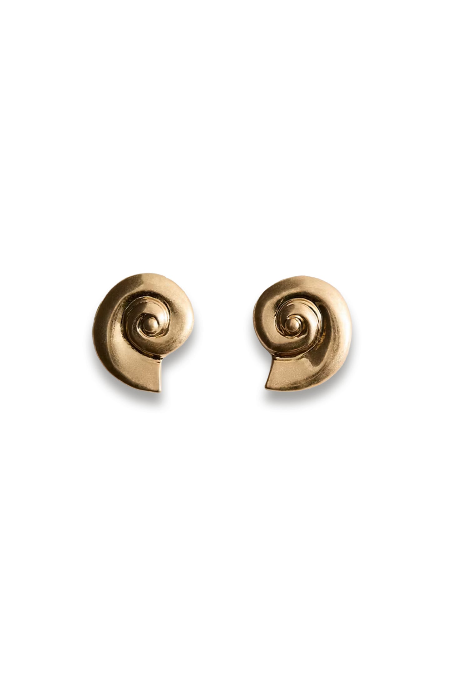 Shell Design Earrings
