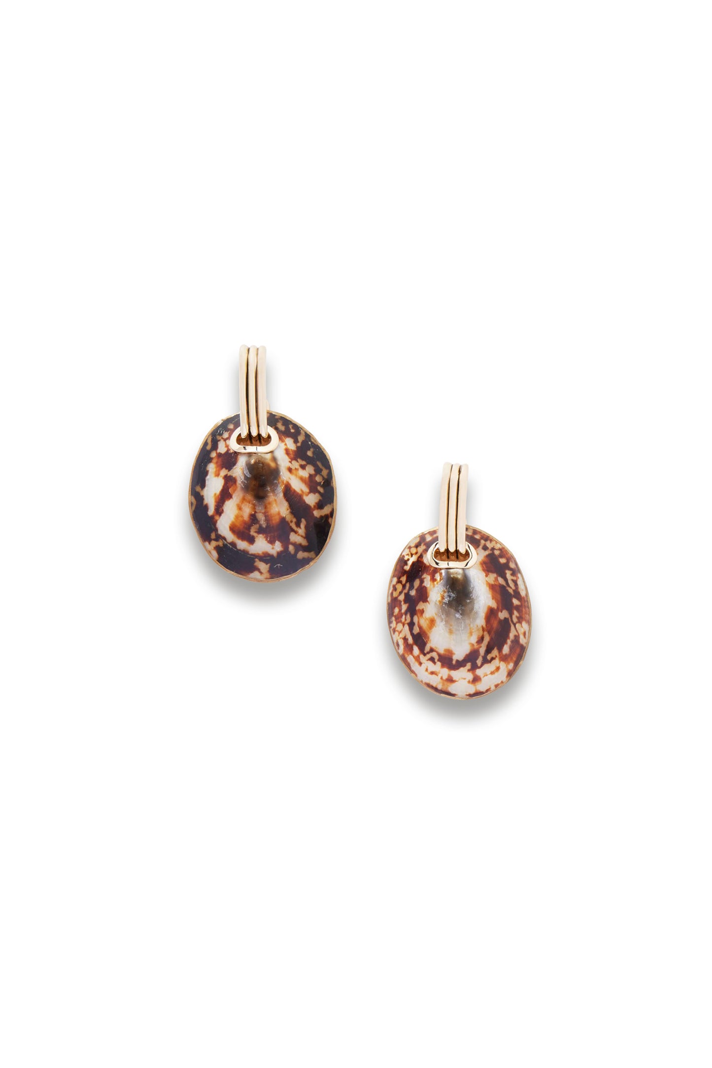 Shell Drop Earrings