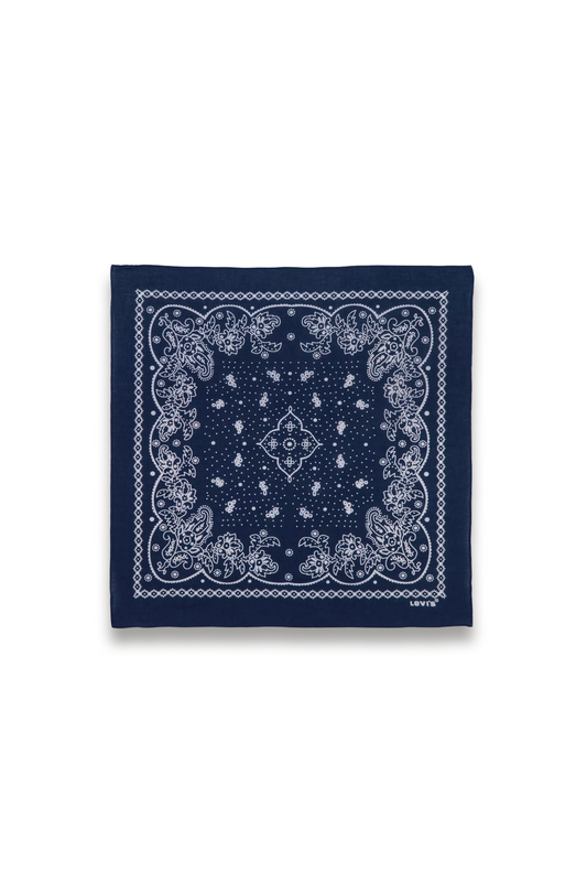 Paisley Bandana