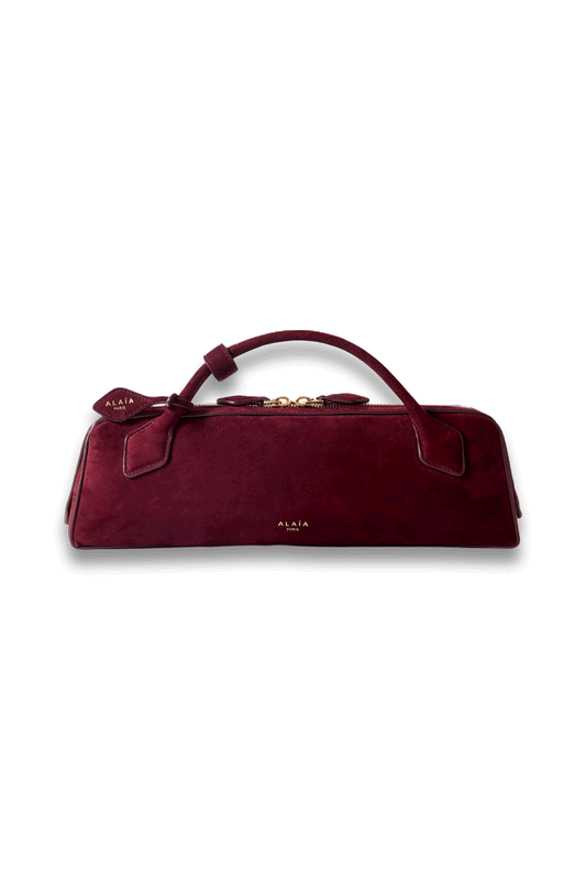 Le Teckel Leather-Trimmed Suede Clutch