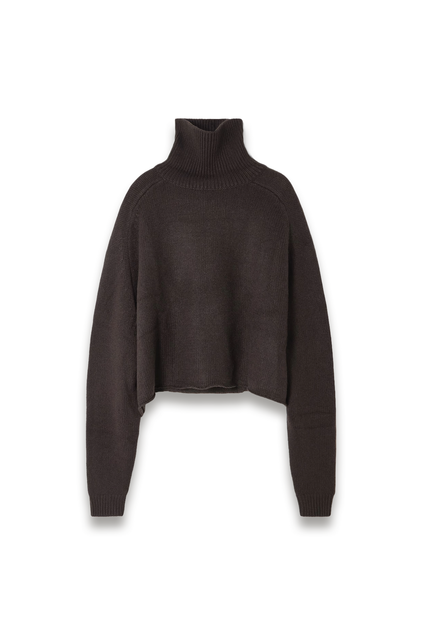 Cathie Cashmere Turtleneck Sweater