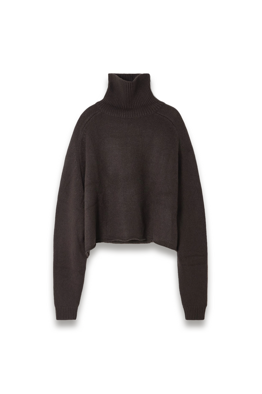 Cathie Cashmere Turtleneck Sweater