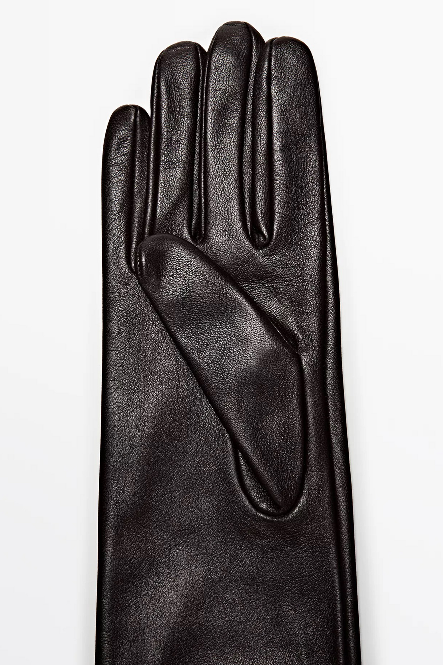 Long Nappa Goatskin Gloves