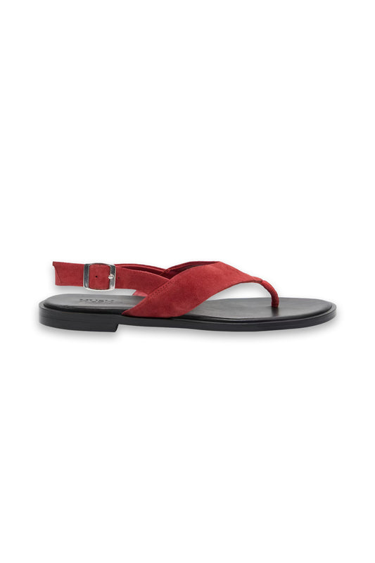 Zenya Suede Toe-post Sandal