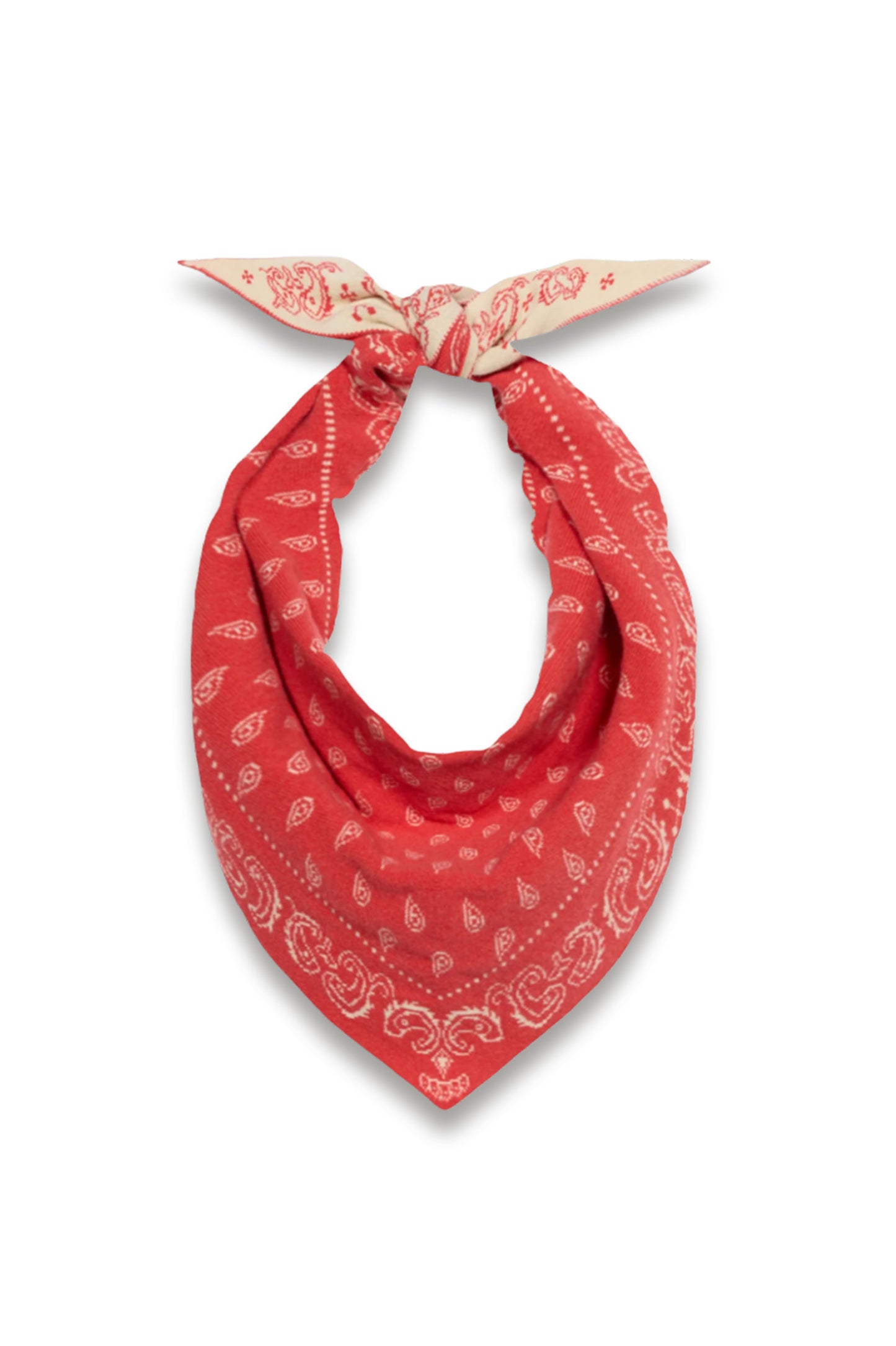 The Wild Rag Cashmere Bandana