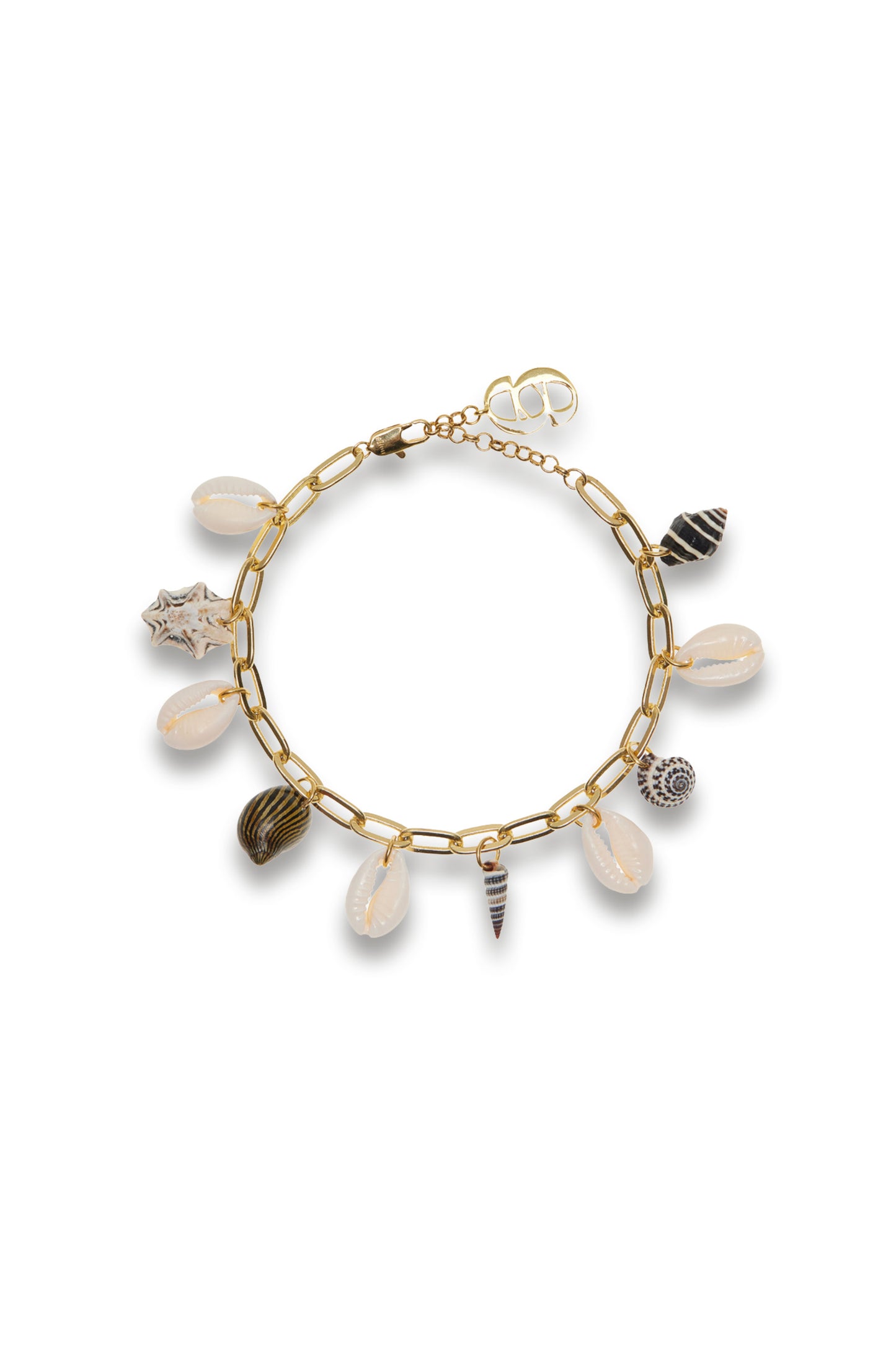 Exclusive La Isla Nizie Shell Anklet
