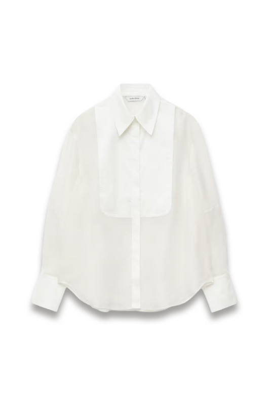 Silk Dress Shirt