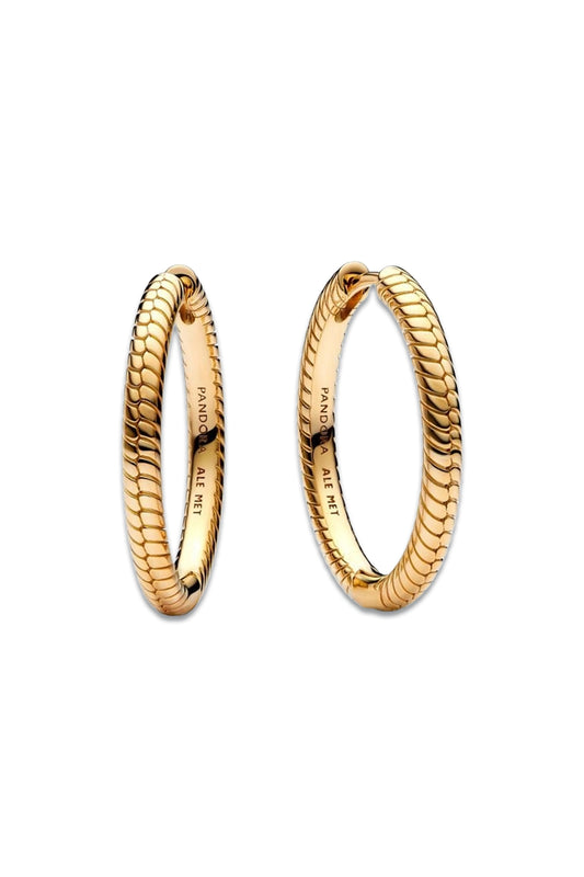 Moments Charm Hoop Earrings