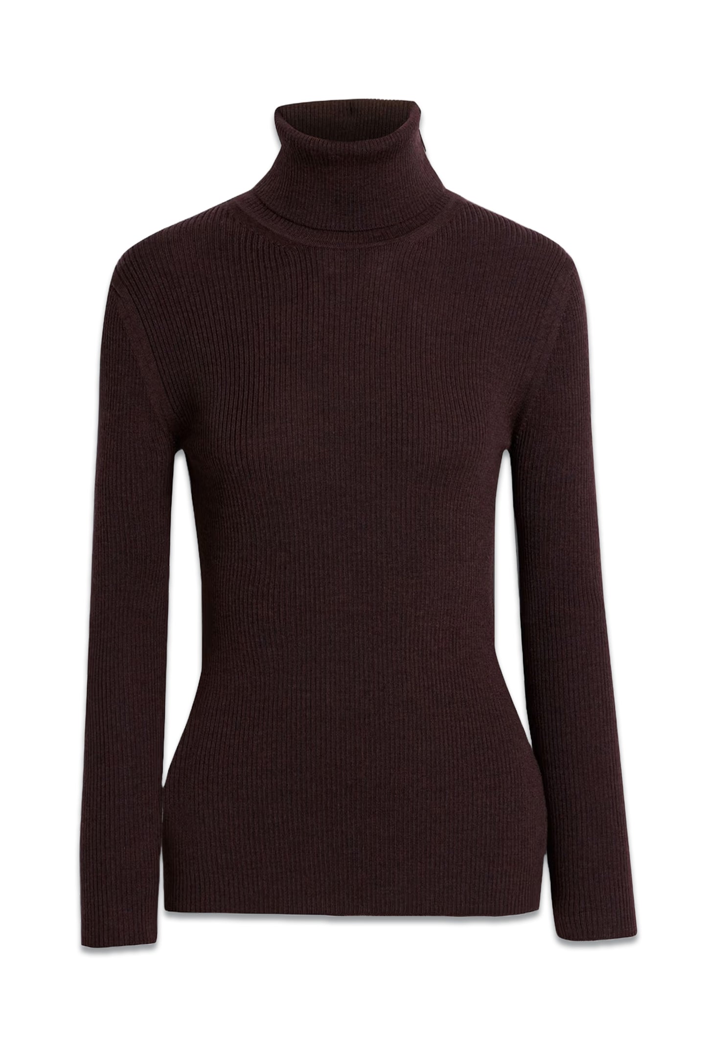 Floriane Ribbed Merino Wool Turtleneck Sweater