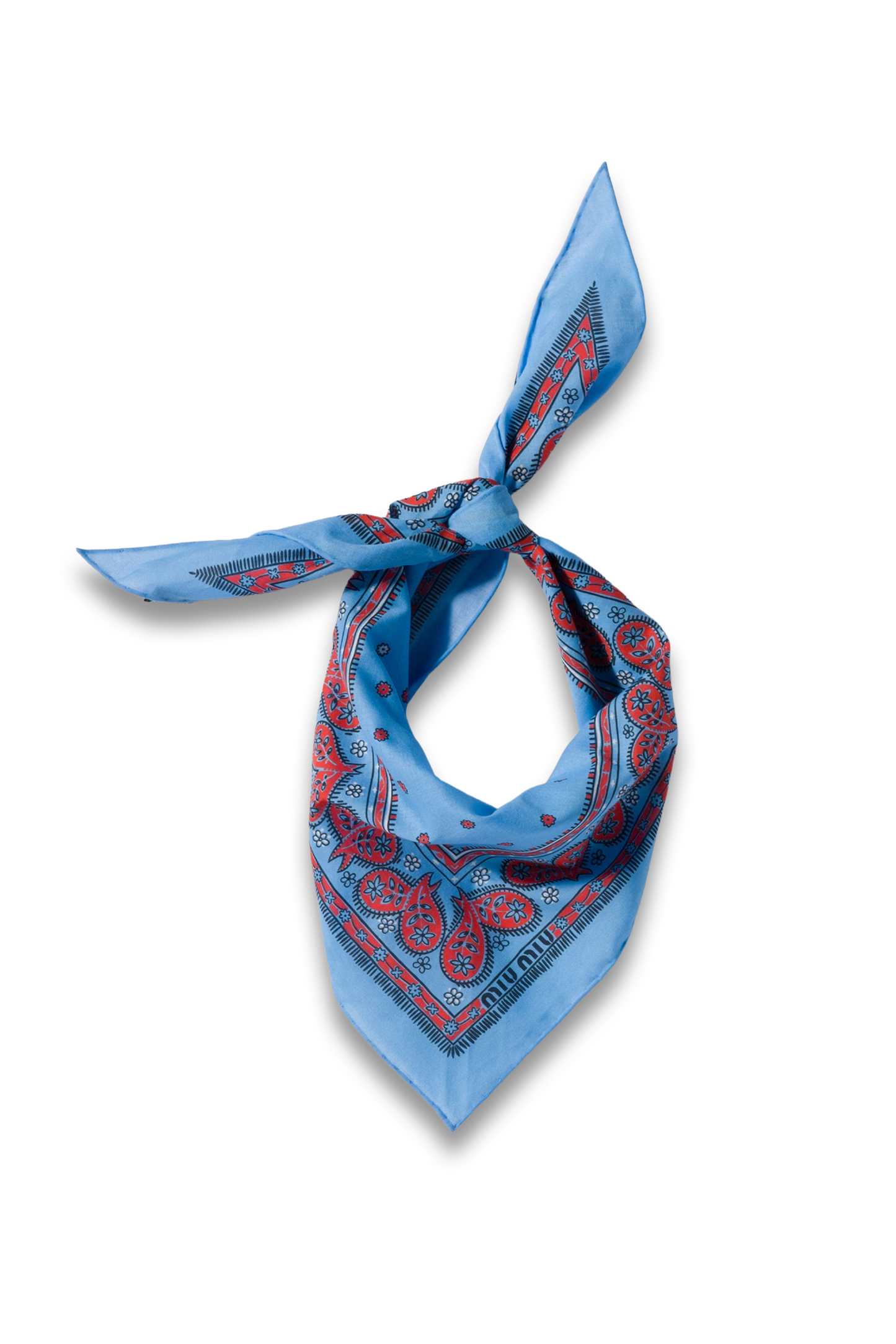 Printed Twill Scarf