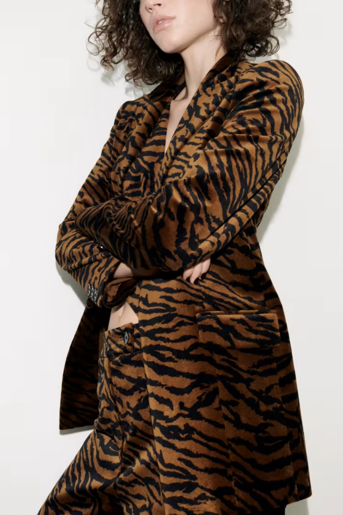 Animal Print Velvet Blazer
