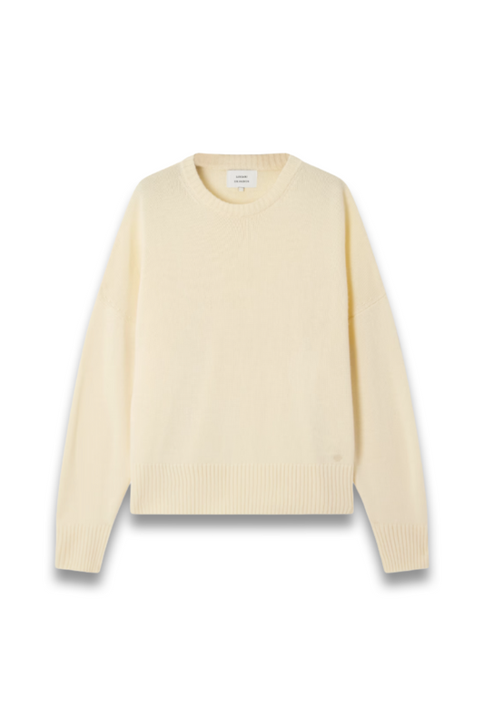 Anton Oversized Embroidered Cashmere Sweater