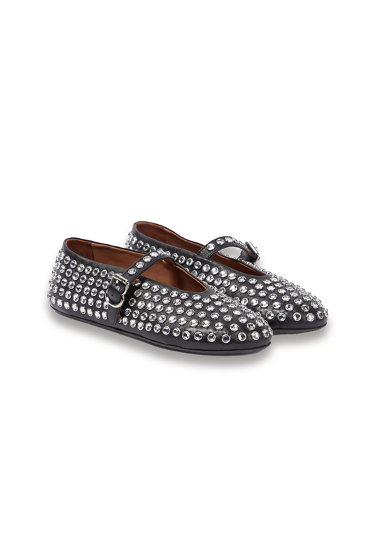Embellished Leather Ballet Flats