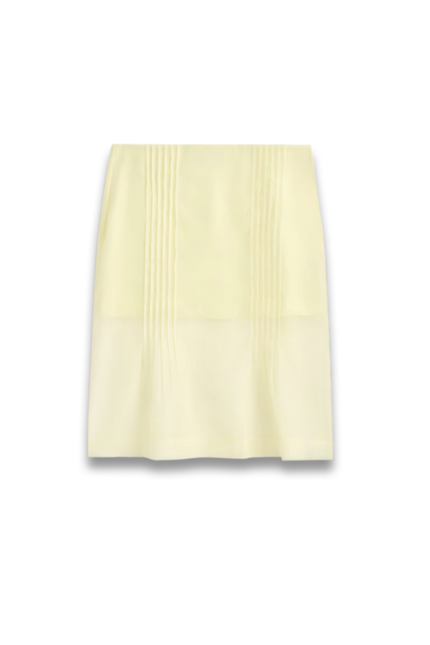 Sheer Pintucked Skirt
