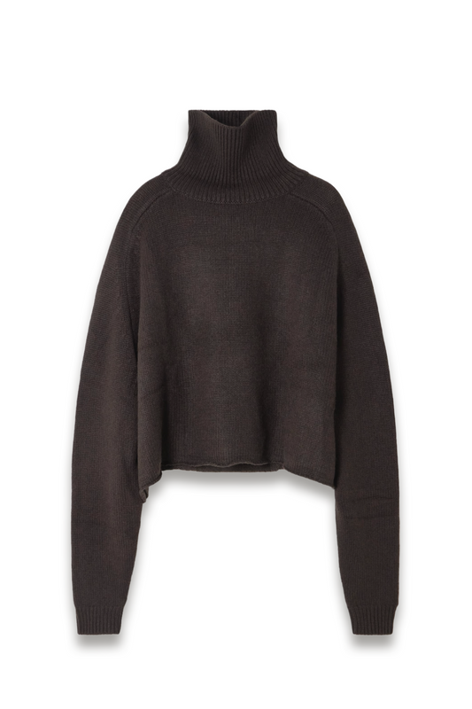 Cathie Cashmere Turtleneck Sweater