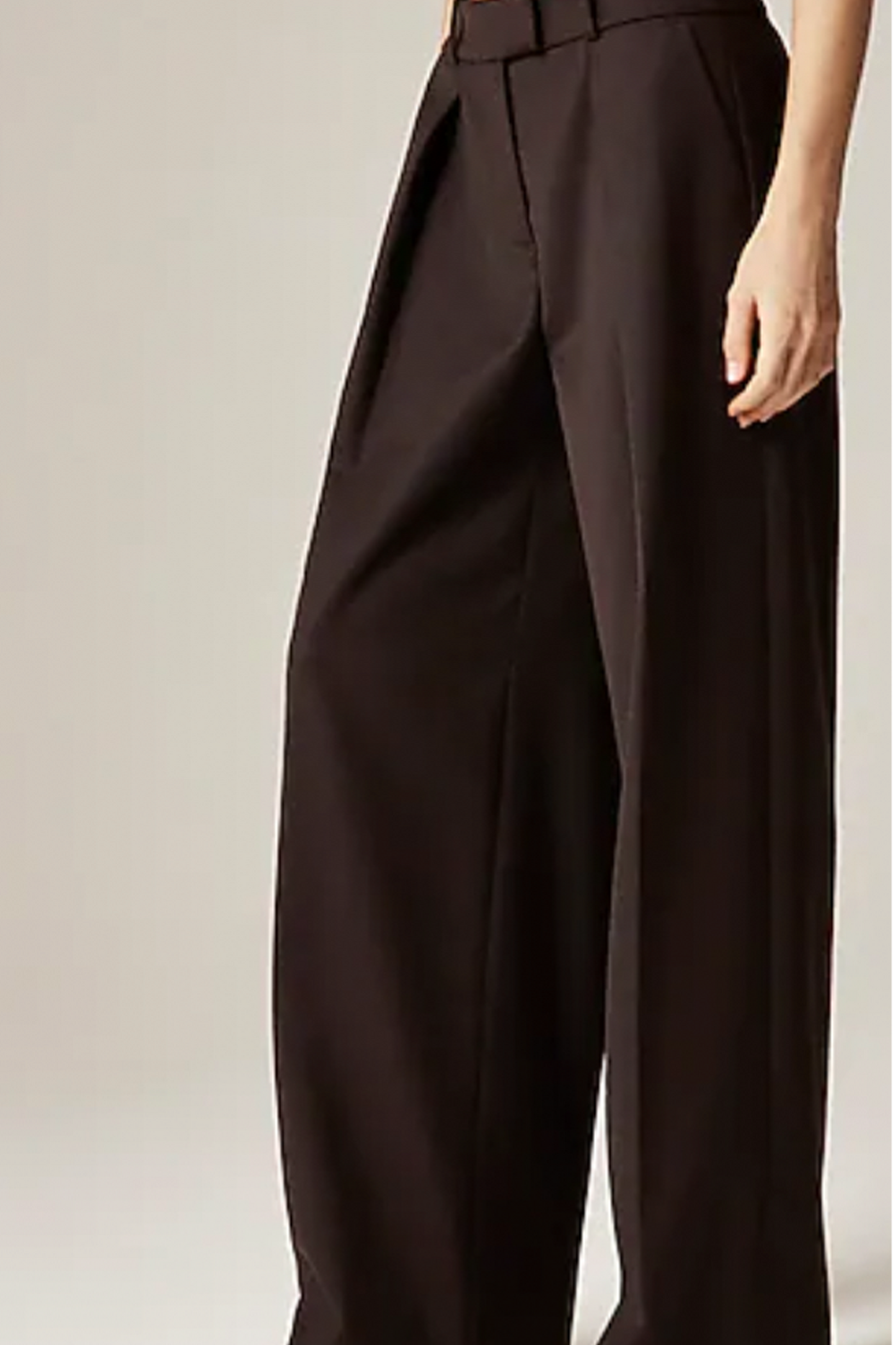 Alex Eagle X J.Crew Pleated Pant in Wool Blend