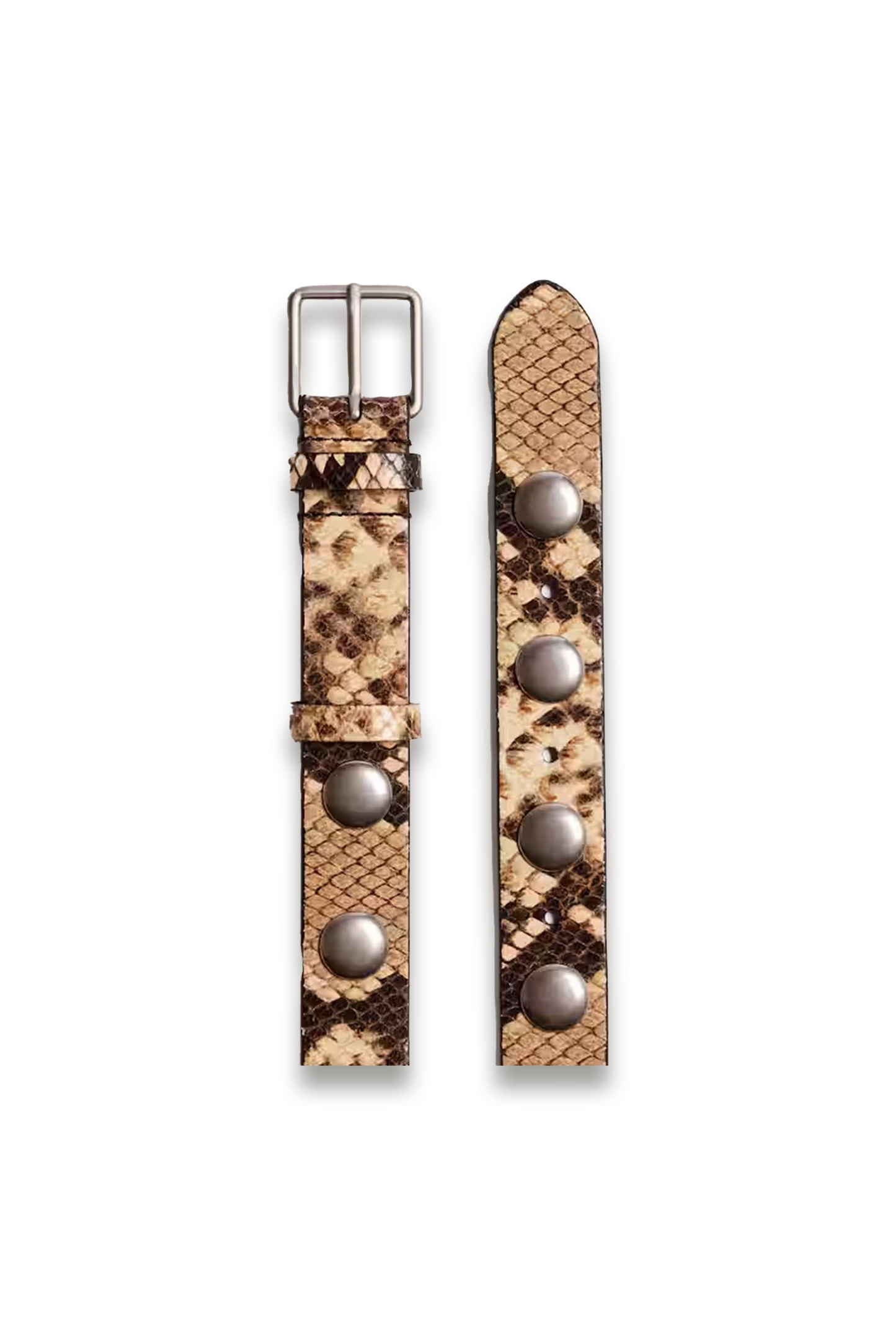 Studded Belt