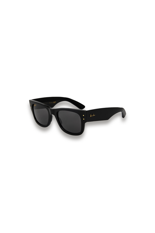 Wayfarer Sunglasses