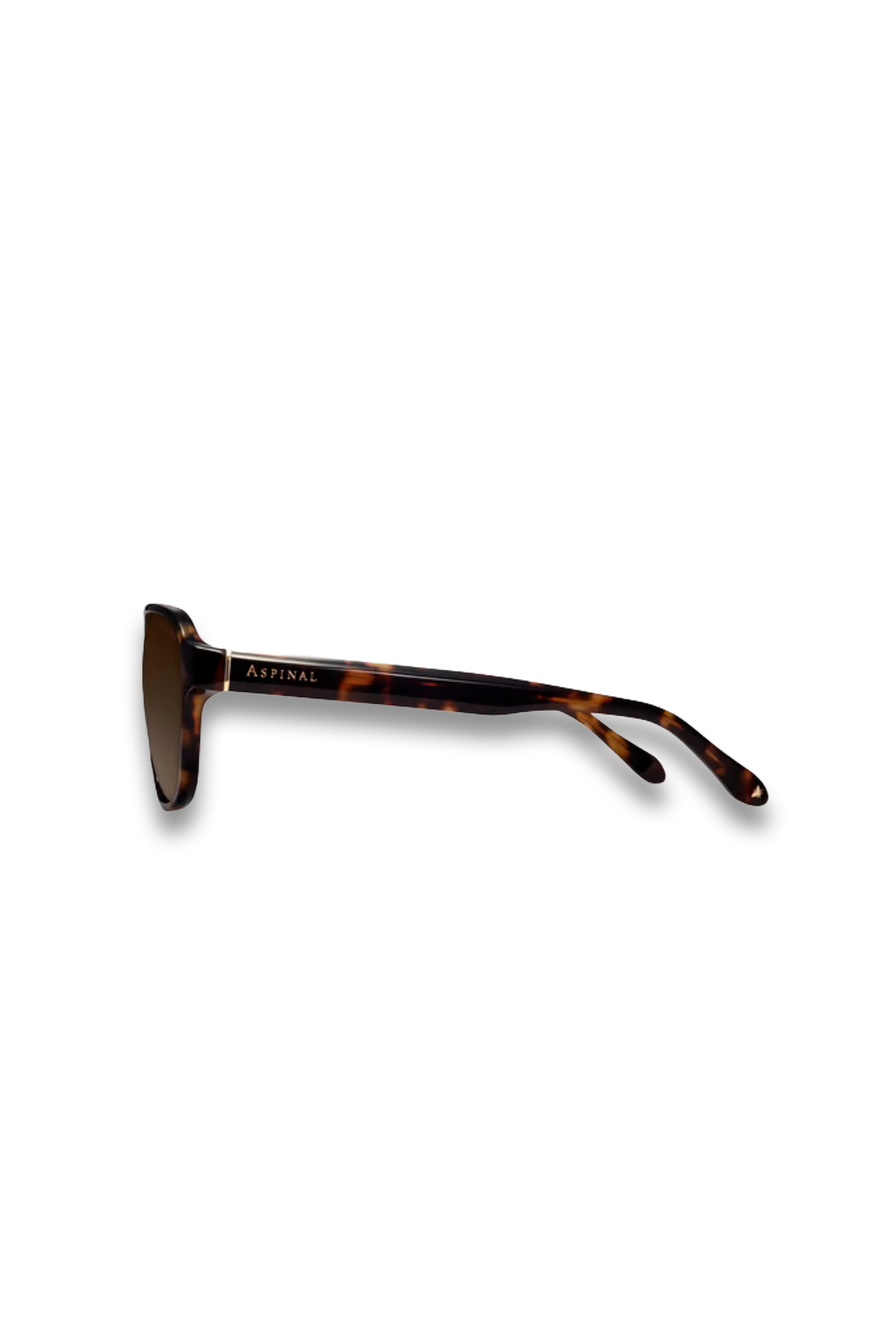 St Barts Aviator Sunglasses