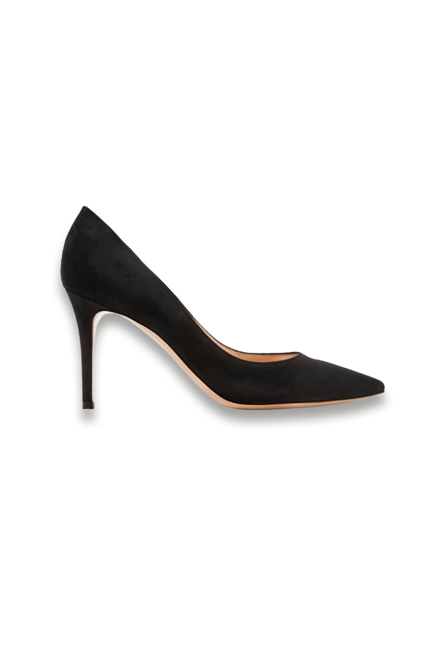 Gianvito 85 Suede Pumps