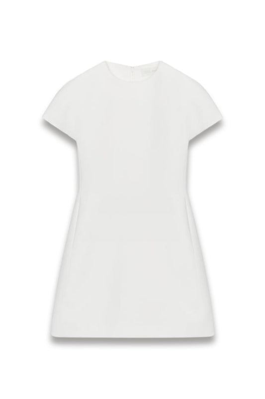 ZW Collection Mini Dress