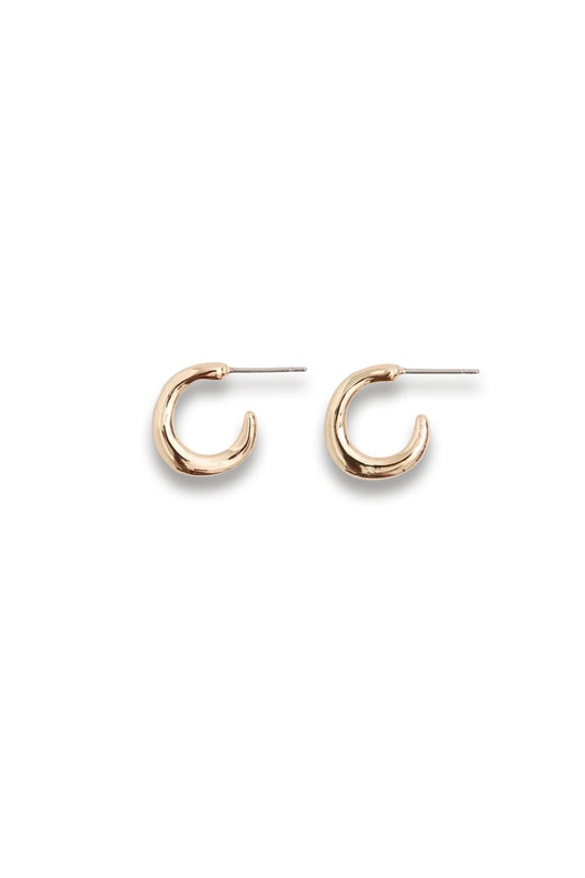 Small Hoop Earring