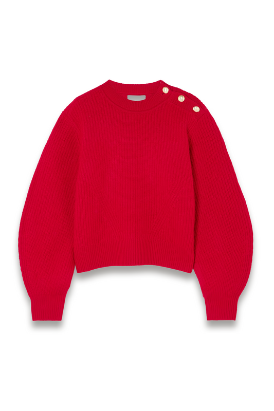 Nolly Embellished Ribbed-knit Merino Wool Sweater
