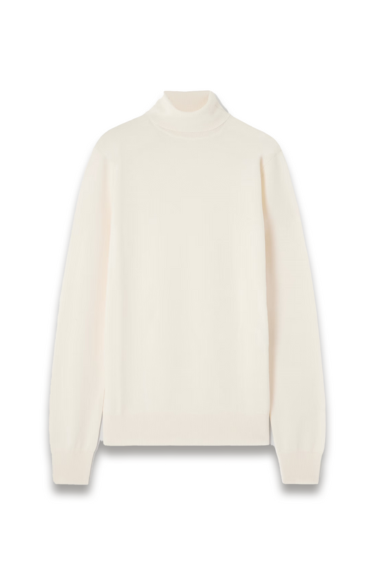 Eve Merino-wool Turtleneck Sweater